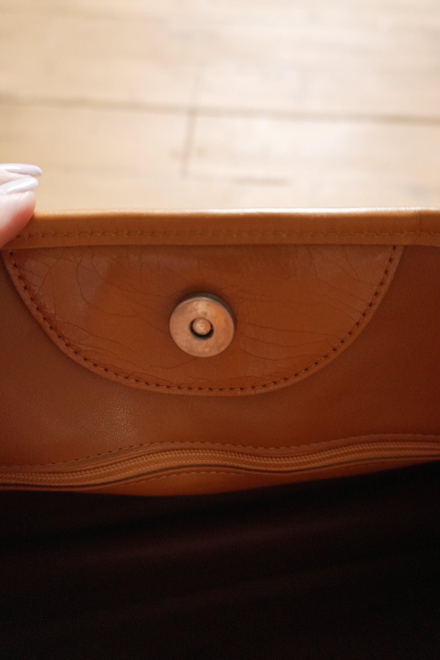 Longchamp Leather Tote Bag Orange Roseau Handbag Horse Logo with dust bag