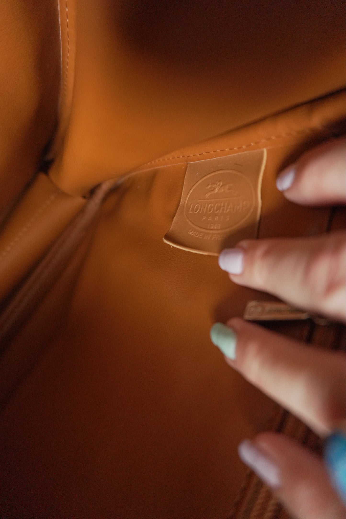 Longchamp Leather Tote Bag Orange Roseau Handbag Horse Logo with dust bag